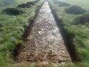 Thumbnail of Photo 061317  [215000] general view of Trench 15 post excavation no board