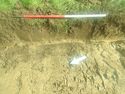 Thumbnail of Photo 061352  [222000] representative section of Trench 22 no board