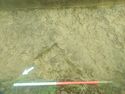 Thumbnail of Photo 061355  furrow [222003] from above