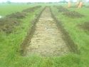 Thumbnail of Photo 071357  [223000] Trench 23 no board facing N