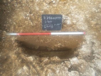View to W, trench 14 S. 1401 of pit [1402] 1x1m scale