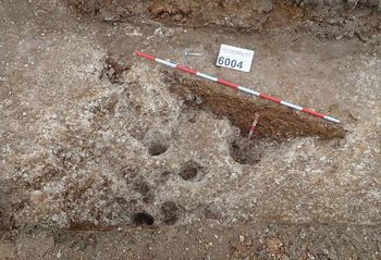  Ditch and possible palisade found within trench 60. Copyright HS2 Ltd. 