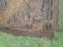 Thumbnail of View to W, drainage ditch eastern field working shot