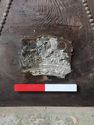 Thumbnail of DETAIL OF THE LEAD CROWN DEIGN ON THE UPPER PORTION OF THE COFFIN OF 1ST EARL ROSSE, BARON OF OXMANTOWN