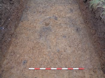  Pre-excavation photograph of potential stake holes in Trench 007, facing north.