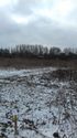 Thumbnail of General shot of snow on site
