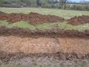 Thumbnail of Working shot of trench (ID unknown)