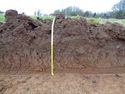 Thumbnail of Working shot of trench (ID unknown)