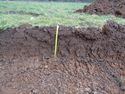 Thumbnail of Working shot of trench (ID unknown)