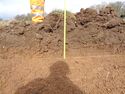 Thumbnail of Working shot of trench (ID unknown)