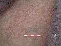 Thumbnail of Shot of possible feature in Trench 8