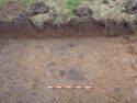 Thumbnail of Pre-excavation shot of Trench 7