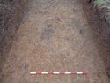 Thumbnail of Pre-excavation photograph of potential stake holes (contexts [31] to [36]) in Trench 007, facing north