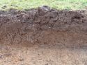 Thumbnail of West facing section of Trench 7