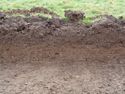 Thumbnail of West facing section of Trench 7