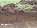 Thumbnail of West facing section of Trench 7