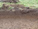 Thumbnail of West facing section of Trench 7
