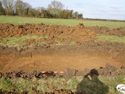 Thumbnail of West facing section of Trench 7