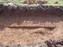 Thumbnail of Tree throw [19] in Trench 007, facing west.