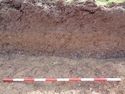 Thumbnail of West-facing section, showing the burnt flint horizon [22], the brown silt horizon [21], colluvium subsoil [18] and the topsoil. Trench 7