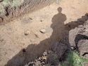 Thumbnail of Plan shot of postholes [23-28] in Trench 7, facing north