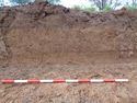 Thumbnail of Working shot of trench (ID unknown)