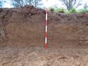 Thumbnail of Working shot of trench (ID unknown)