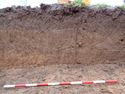 Thumbnail of Working shot of trench (ID unknown)