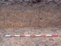 Thumbnail of Working shot of trench (ID unknown)