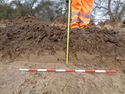 Thumbnail of Working shot of trench (ID unknown)