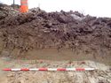 Thumbnail of Working shot of trench (ID unknown)