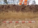 Thumbnail of Working shot of trench (ID unknown)