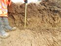 Thumbnail of Section of Trench 19