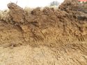 Thumbnail of Section of Trench 19