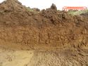 Thumbnail of Section of Trench 19