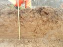 Thumbnail of Section of Trench 20