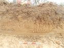 Thumbnail of Section of Trench 20
