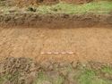 Thumbnail of Section of trench 14