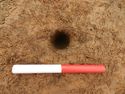 Thumbnail of Shot of stakehole [5], Trench 14, looking north