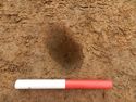 Thumbnail of Shot of stakehole [3], Trench 14, looking north
