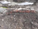 Thumbnail of TURNTABLE