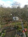 Thumbnail of St James Gardens as Seen from the Roof	