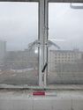 Thumbnail of Fifth Floor Critall Window	