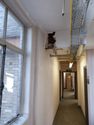 Thumbnail of Third Floor Corridor	