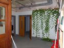 Thumbnail of First Floor West End Corridor	