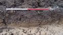 Thumbnail of Representative section from Trench 6.