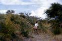 Thumbnail of Bigo, ditch in central area 1984
