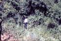 Thumbnail of Bigo, ditch in central area 1985
