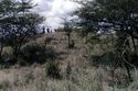 Thumbnail of Kasonko, Mound