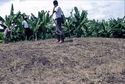 Thumbnail of Ntusi Female Mound